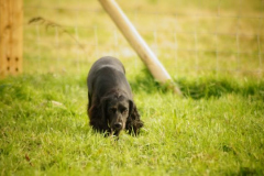 DSC02334-e1511214604347